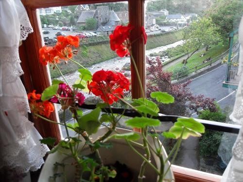 The Captains House Линмут Экстерьер фото